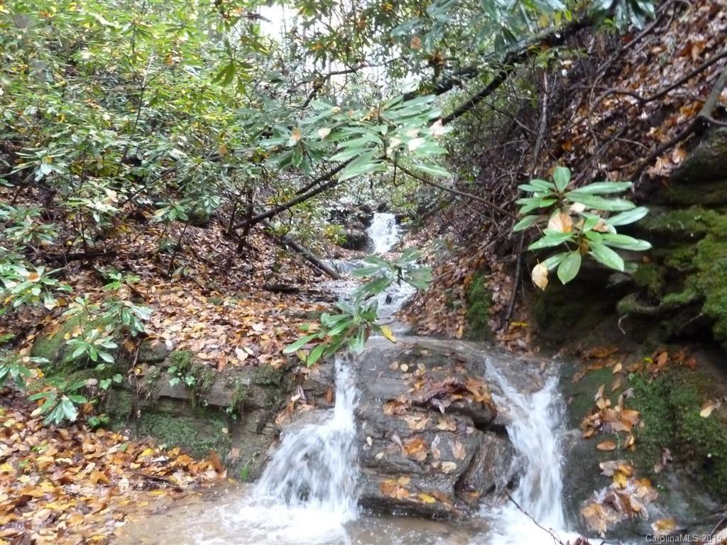 6553 Bat Cave Road Old Fort, NC 28762 - Photo 16 of 24 Gallery Image 16