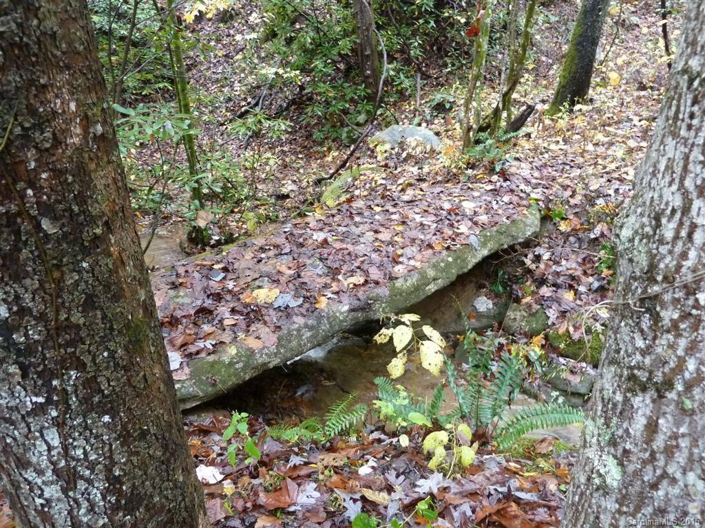 6553 Bat Cave Road Old Fort, NC 28762 - Photo 19 of 24 Gallery Image 19