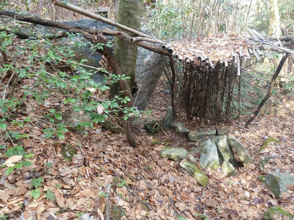 6553 Bat Cave Road Old Fort, NC 28762 - Photo 22 of 24 Gallery Image 22