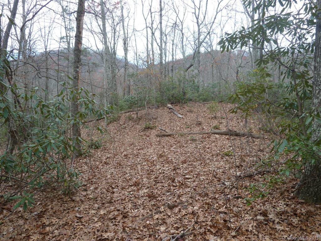 6553 Bat Cave Road Old Fort, NC 28762 - Photo 23 of 24 Gallery Image 23