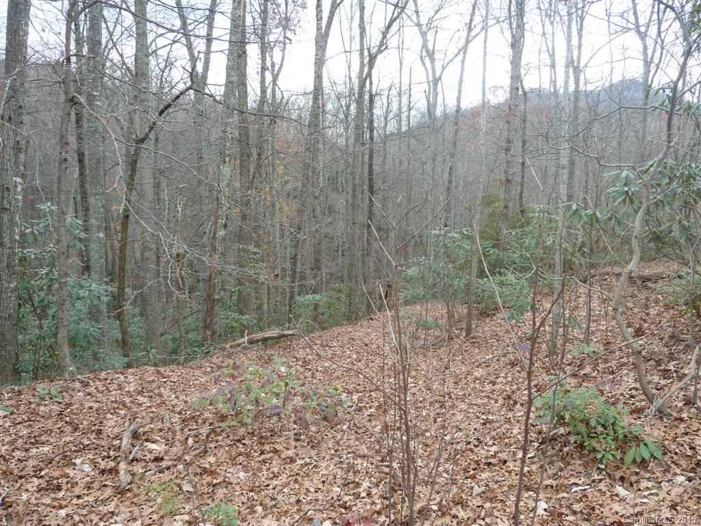 6553 Bat Cave Road Old Fort, NC 28762 - Photo 24 of 24 Gallery Image 24