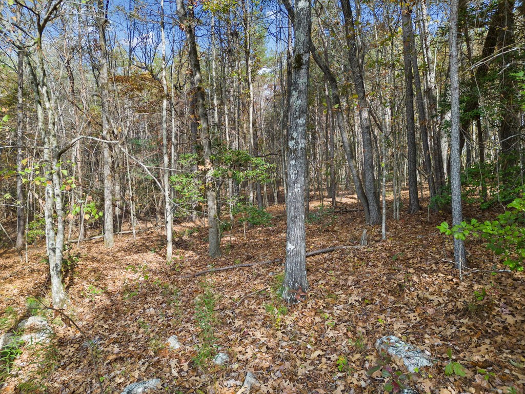 Lot 8 Highpoint Ridge Road Ellijay, GA 30536 - Photo 6 of 23 Gallery Image 6