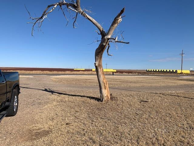 1254 Fm 40 Ralls, TX 79357 - Photo 12 of 14 Photo 12