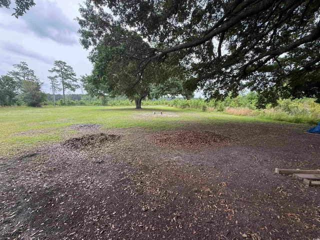 $110,000 | 389 Easler Highway, Greeleyville, SC 29056