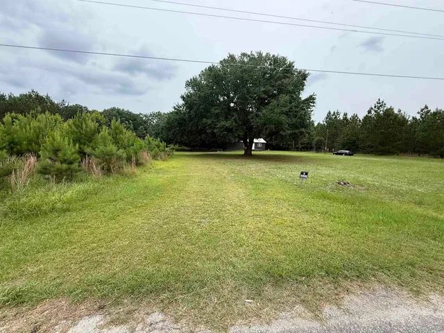 $110,000 | 389 Easler Highway, Greeleyville, SC 29056