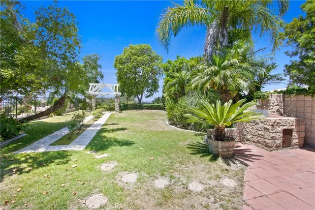 a view of a yard with plants