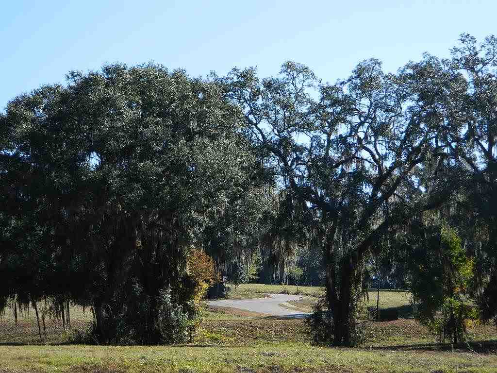 1-e Williams Road Tallahassee, FL 32311 - Photo 11 of 25 Gallery Image 11