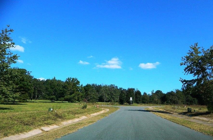1-e Williams Road Tallahassee, FL 32311 - Photo 19 of 25 Gallery Image 19