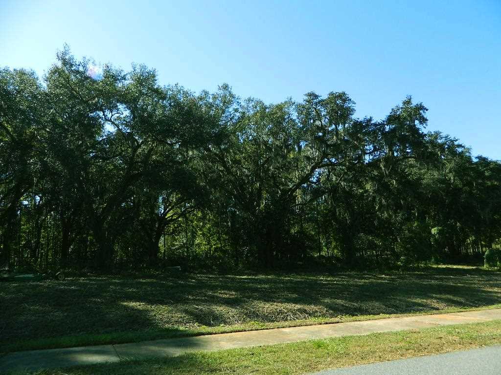 1-e Williams Road Tallahassee, FL 32311 - Photo 6 of 25 Gallery Image 6