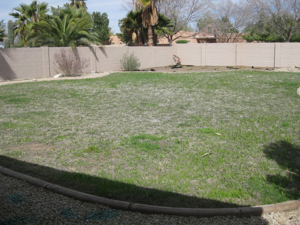 9224 West John Cabot Road Peoria, AZ 85382 - Photo 7 of 8 9224 W JOHN CABOT