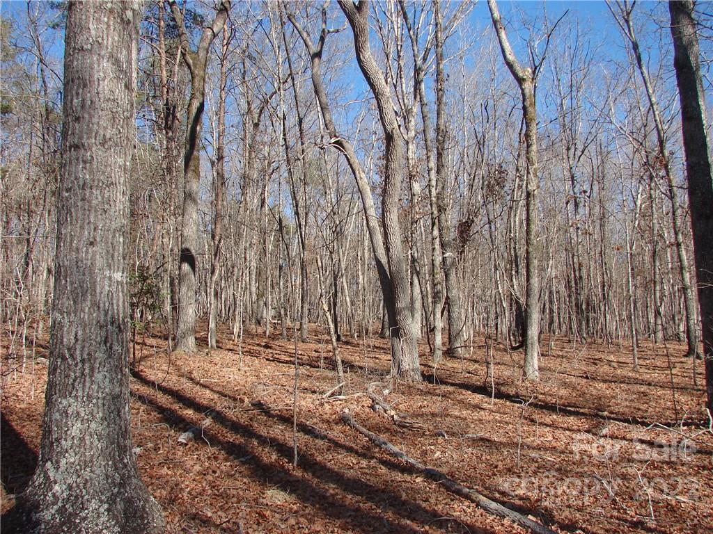 0 Harrill Road, Unit 85 Forest City, NC 28043 - Photo 8 of 8 Gallery Image 8
