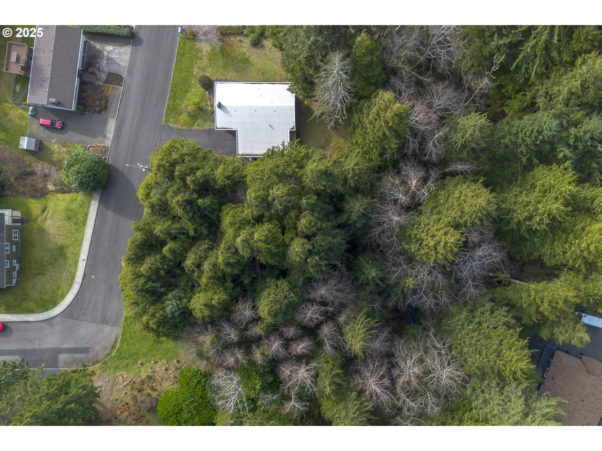 0 Alpine Street Seaside, OR 97138 - Photo 13 of 16