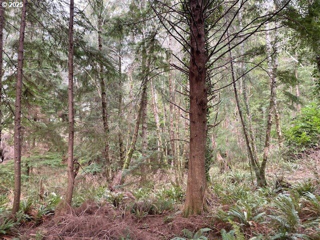 0 Alpine Street Seaside, OR 97138 - Photo 14 of 16