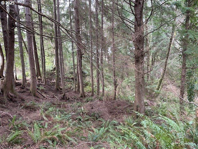 0 Alpine Street Seaside, OR 97138 - Photo 15 of 16