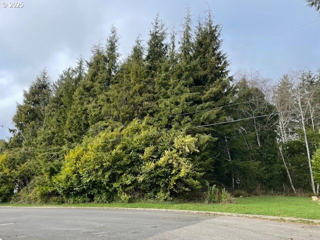 0 Alpine Street Seaside, OR 97138 - Photo 2 of 16