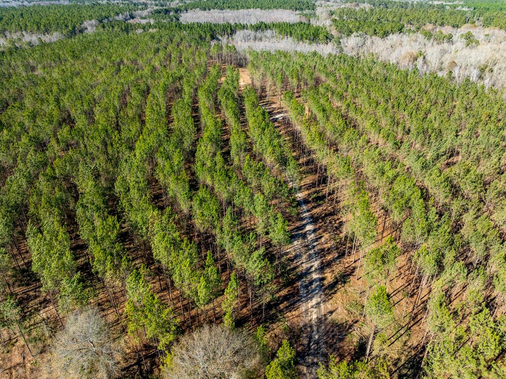Lot 3-15 -ac Cottonwood Rd/ Phillips Road Cottonwood, AL 36320 - Photo 43 of 49