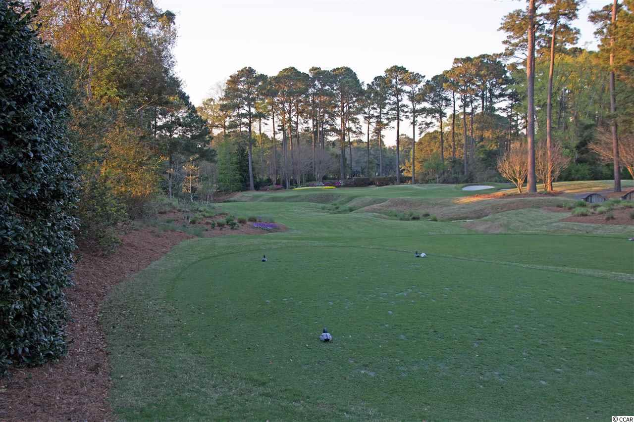 625 Hatteras River Road Myrtle Beach, SC 29588 - Photo 22 of 32 Gallery Image 22