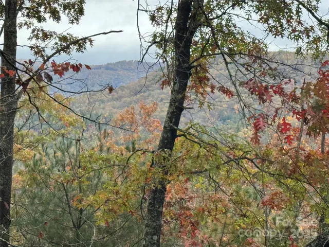 a view of a backyard of the house