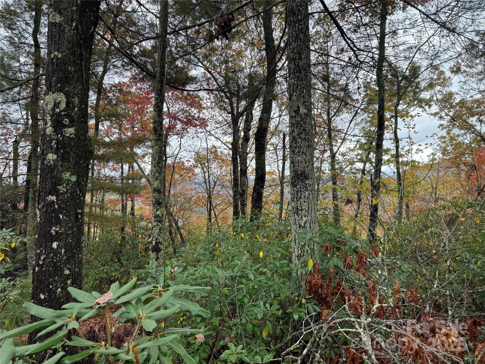 0 King Road Pisgah Forest, NC 28768 - Photo 11 of 17