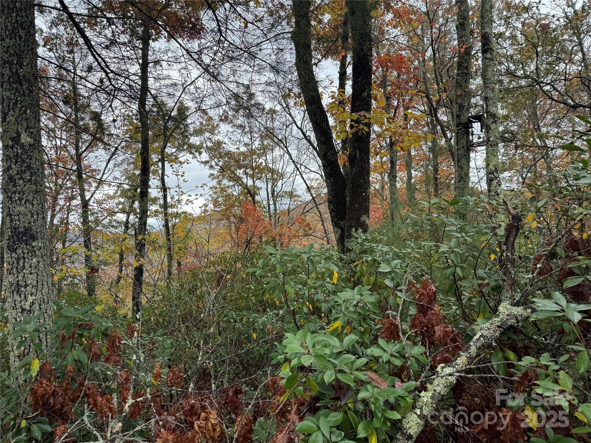 0 King Road Pisgah Forest, NC 28768 - Photo 13 of 17