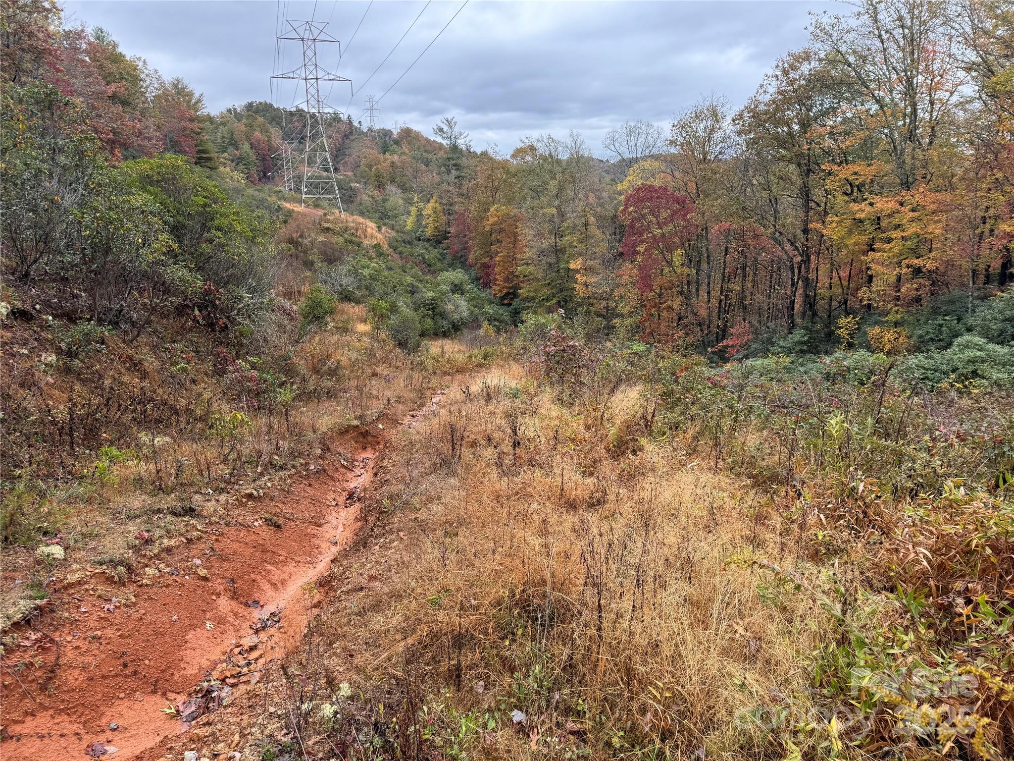 0 King Road Pisgah Forest, NC 28768 - Photo 16 of 17 a view of a dry yard with trees