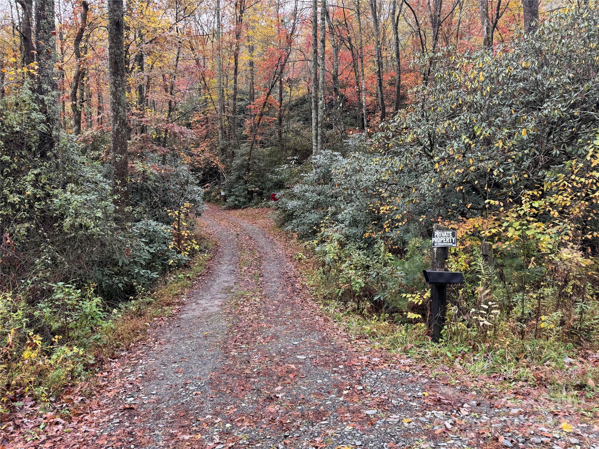 0 King Road Pisgah Forest, NC 28768 - Photo 2 of 17 a view of a yard with large trees
