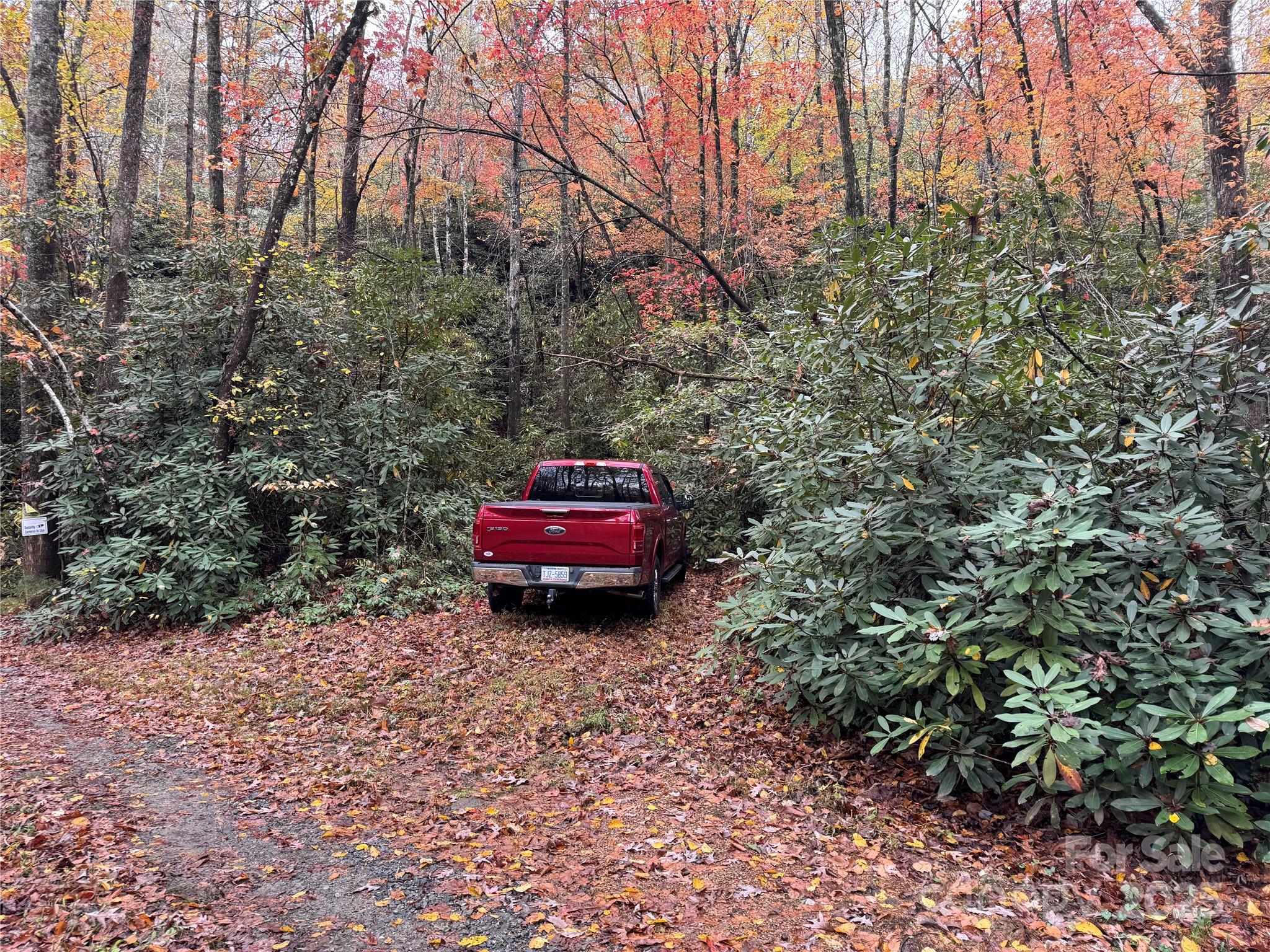 0 King Road Pisgah Forest, NC 28768 - Photo 3 of 17 a backyard of a house with car parked