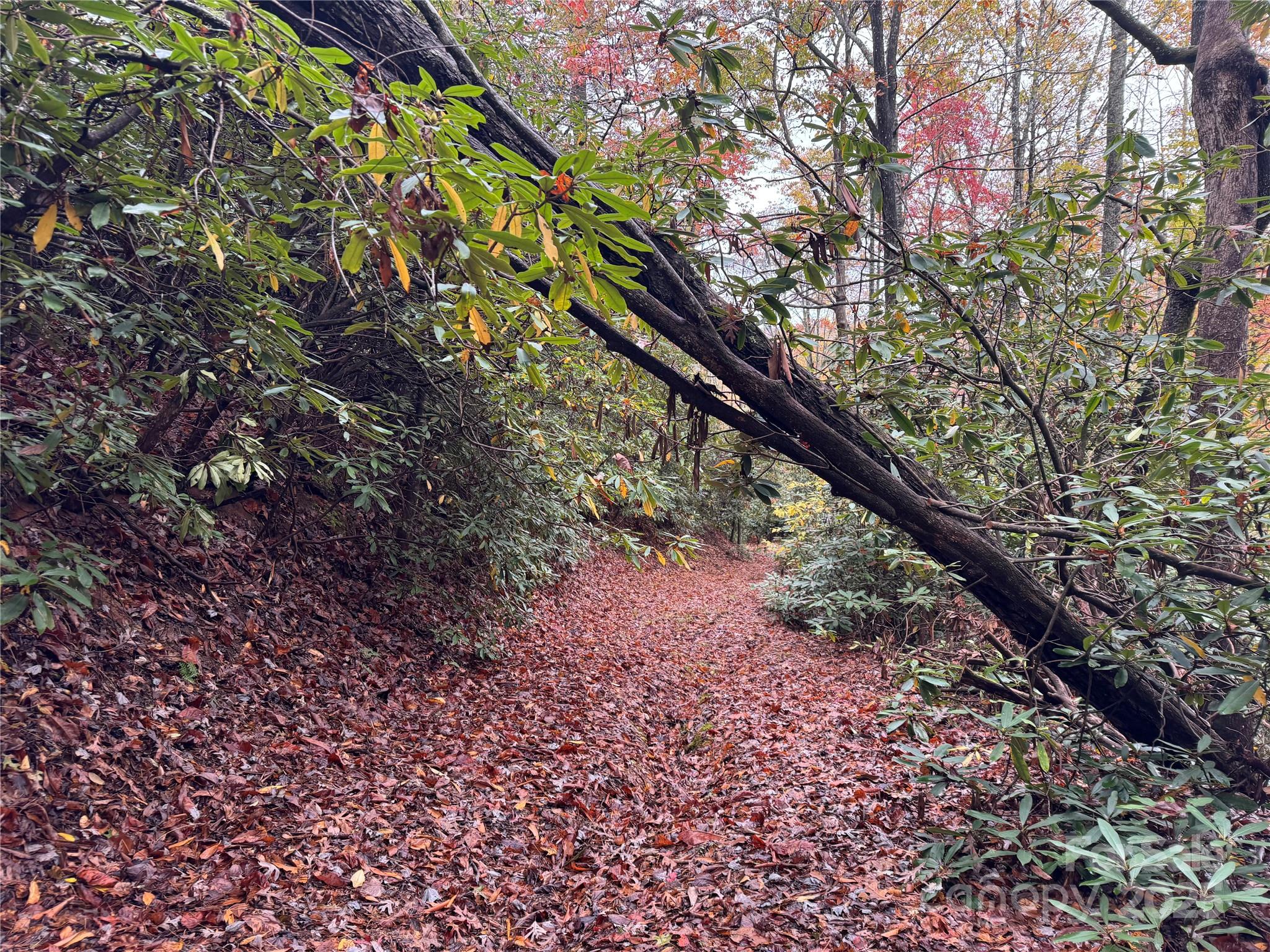 0 King Road Pisgah Forest, NC 28768 - Photo 7 of 17