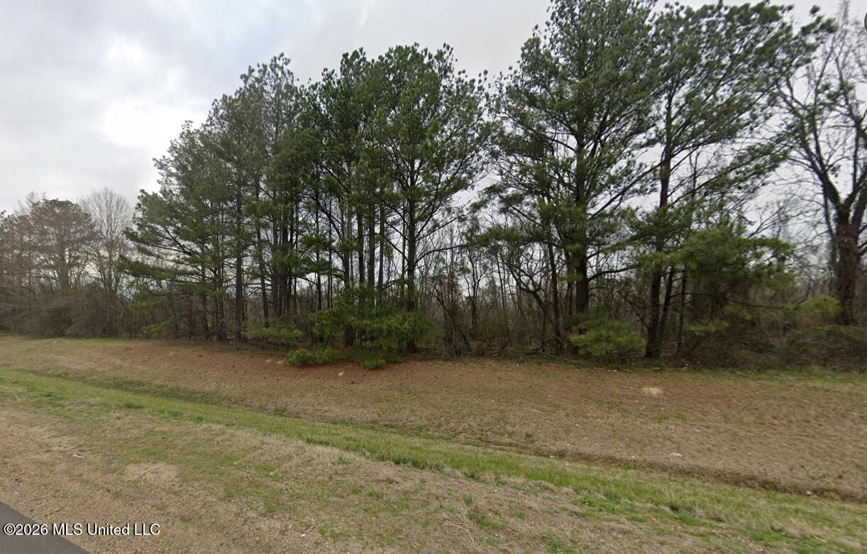 0 Flowood Drive Flowood, MS 39232 - Photo 5 of 5 Screenshot 2026-03-05 093801