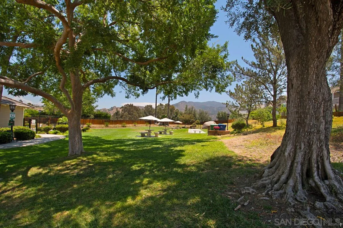 1237 Buttonwood Court El Cajon, CA 92019 - Photo 38 of 45 a view of a yard with large trees