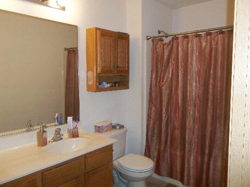 6508 Roth Drive Joliet, IL 60431 - Photo 12 of 14 a bathroom with a sink a toilet and shower curtain