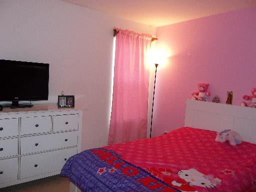 6508 Roth Drive Joliet, IL 60431 - Photo 13 of 14 a bedroom with a bed and a flat screen tv