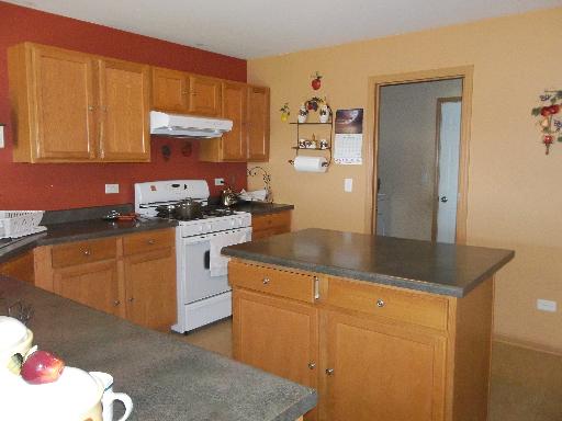 6508 Roth Drive Joliet, IL 60431 - Photo 3 of 14 a kitchen with a sink a stove and cabinets