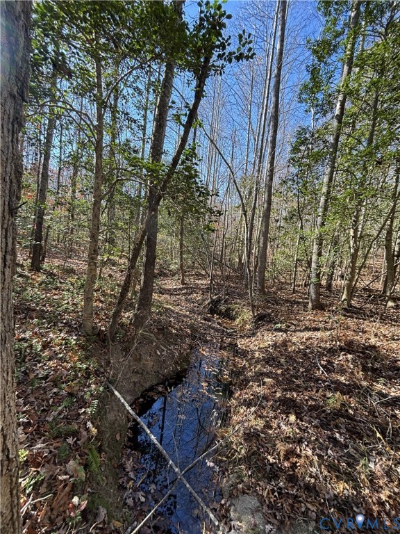 Lot 4 Diggstown Road Bumpass, VA 23024 - Photo 7 of 7 Creek along front property line
