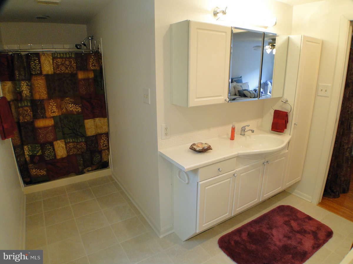 6260 Sandchain Road Columbia, MD 21045 - Photo 14 of 27 Bath (Master)