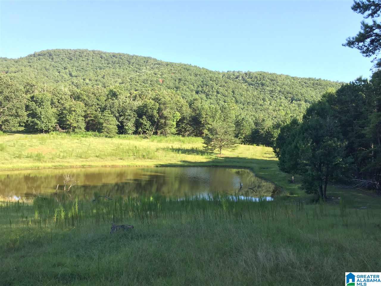 0 Valley Creek Road Piedmont, AL 36272 - Photo 1 of 28