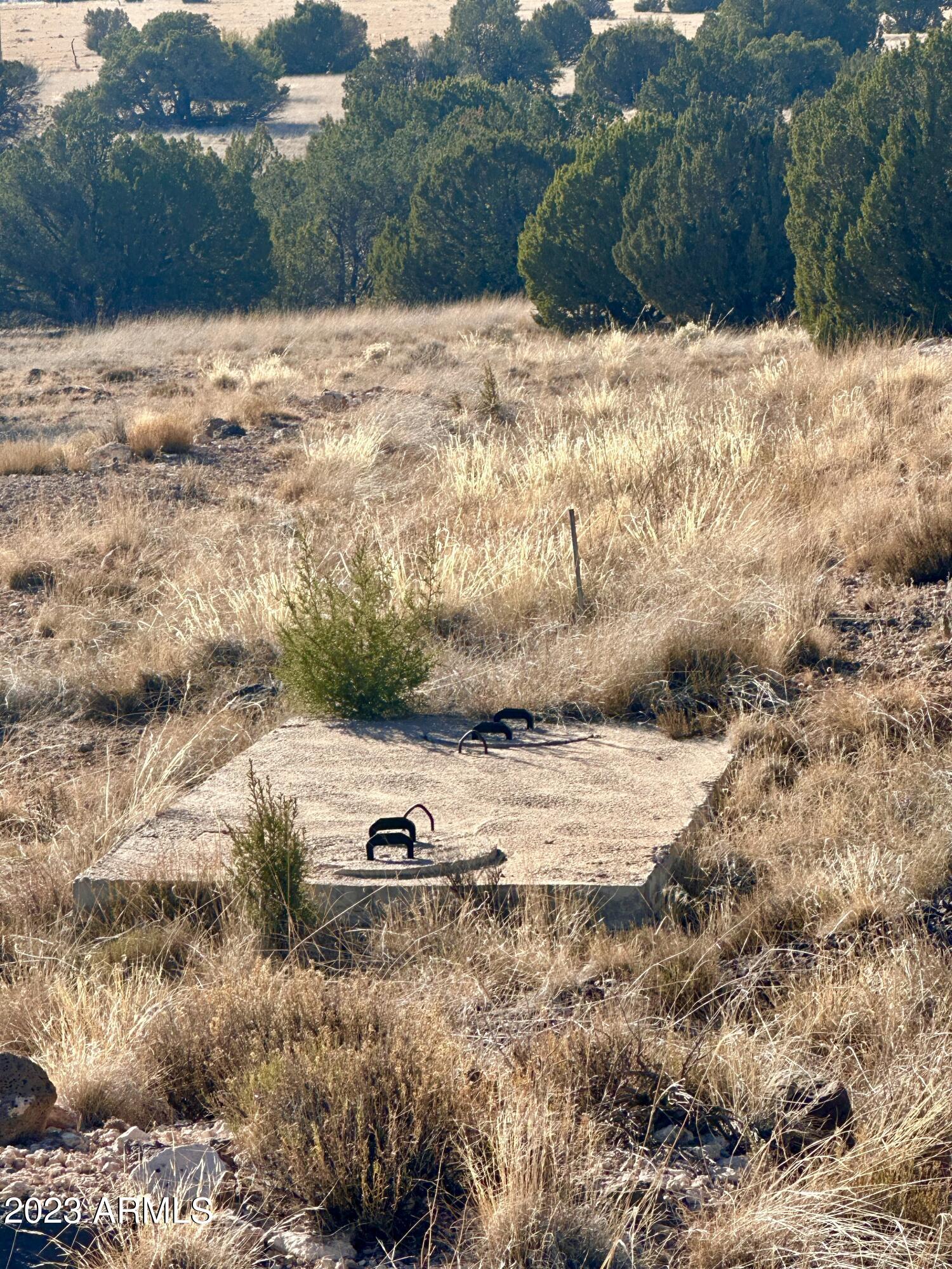 14 8249, Unit 38 Show Low, AZ 85901 - Photo 2 of 6 a view of a yard with a snow
