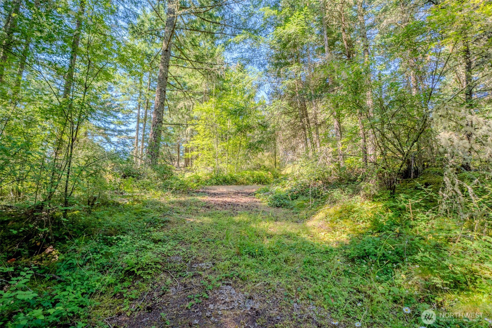 678 Swan Road Orcas Island, WA 98245 - Photo 6 of 39