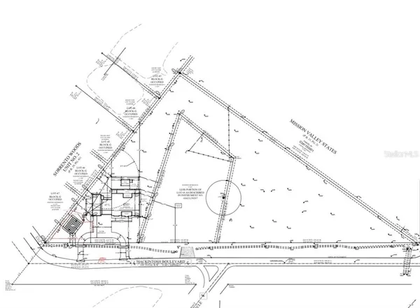 a black and white photo of a painting