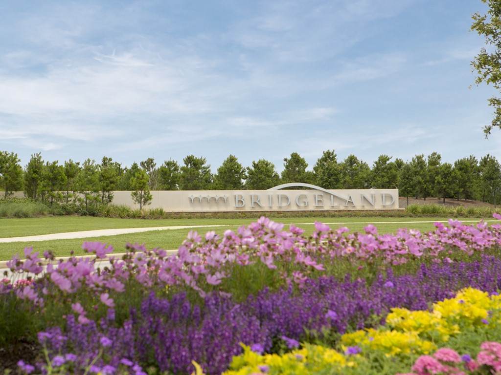 10711 Rattlebox Court Cypress, TX 77433 - Photo 6 of 7 a view of a lake with a big yard and a large tree