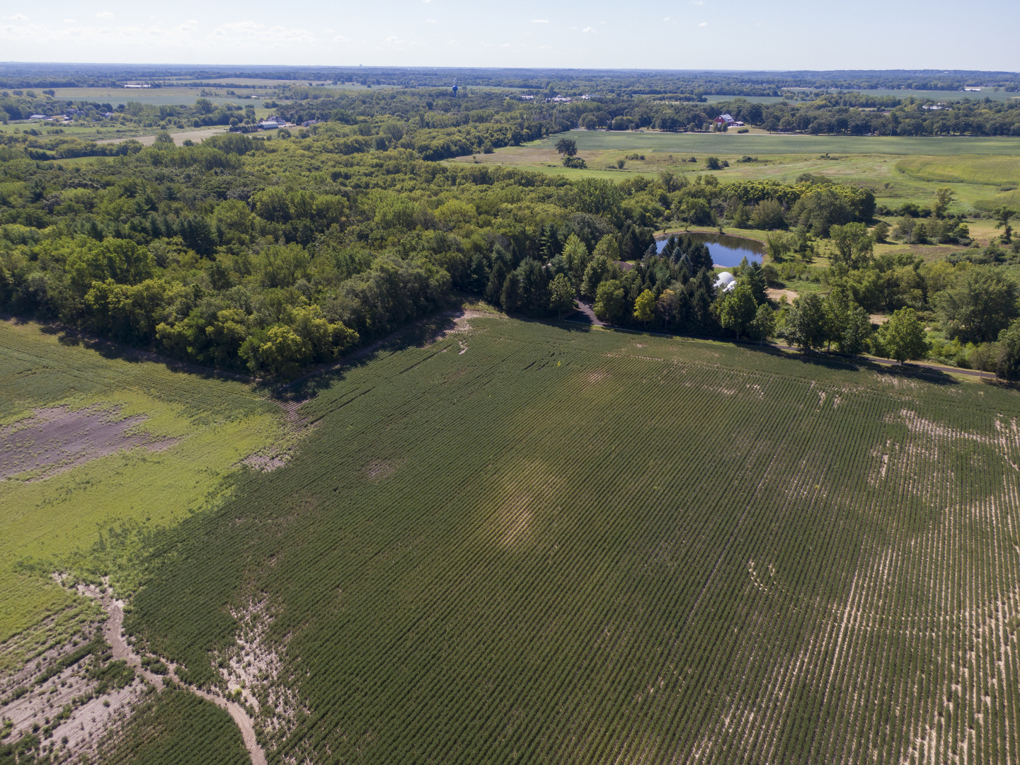 8N743 Dittman Road Elgin, IL 60124 - Photo 5 of 7