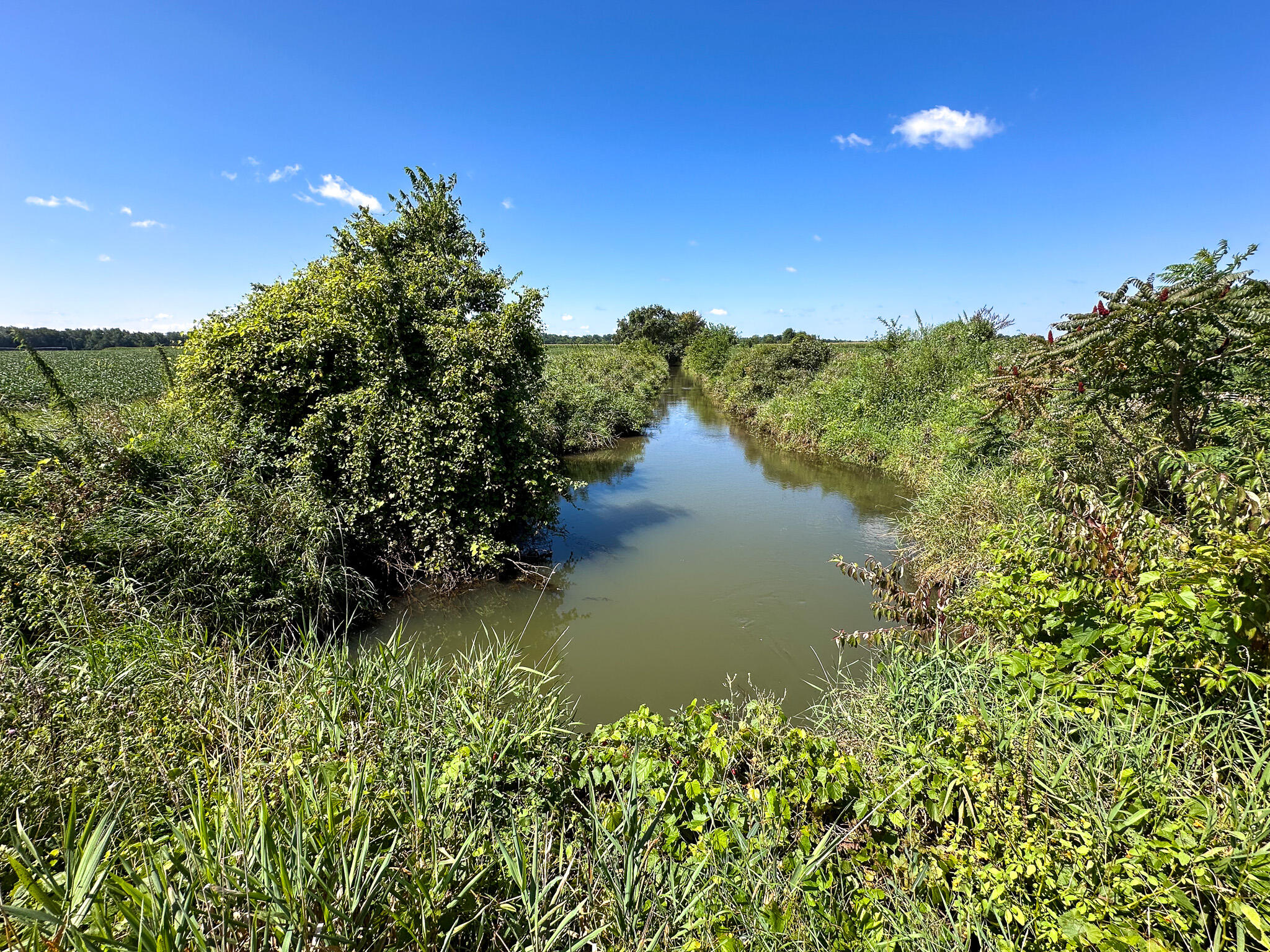 634 East Girard Road Quincy, MI 49082 - Photo 67 of 75 Creek Ground 1