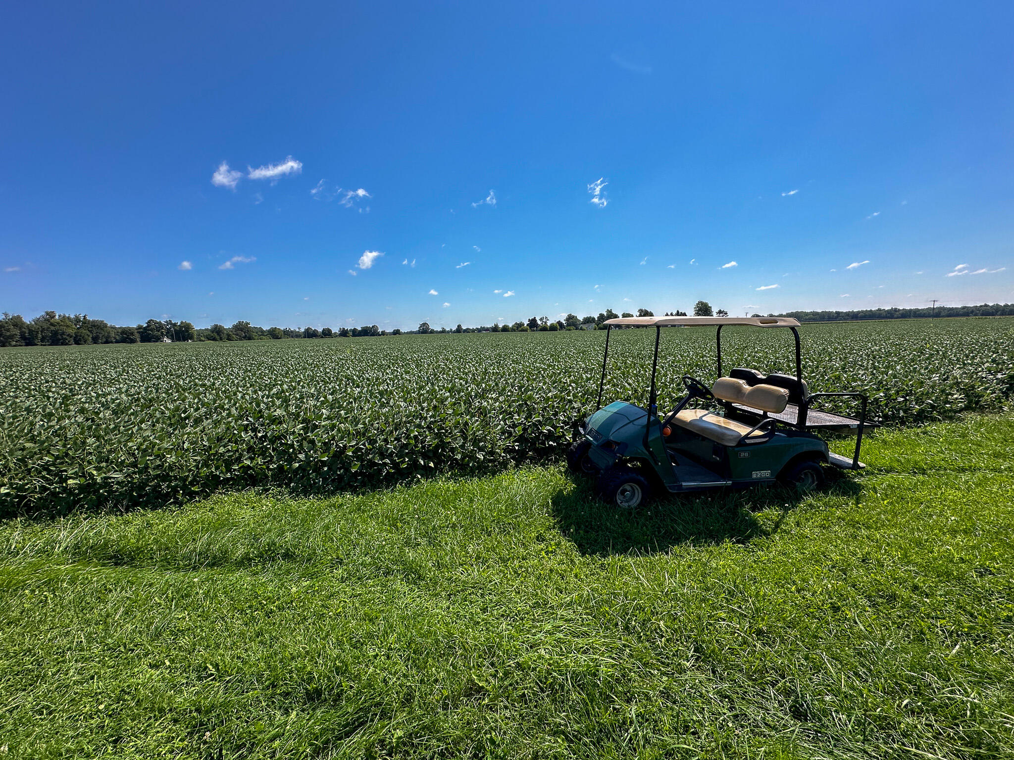 634 East Girard Road Quincy, MI 49082 - Photo 72 of 75 Golf Cart Beans
