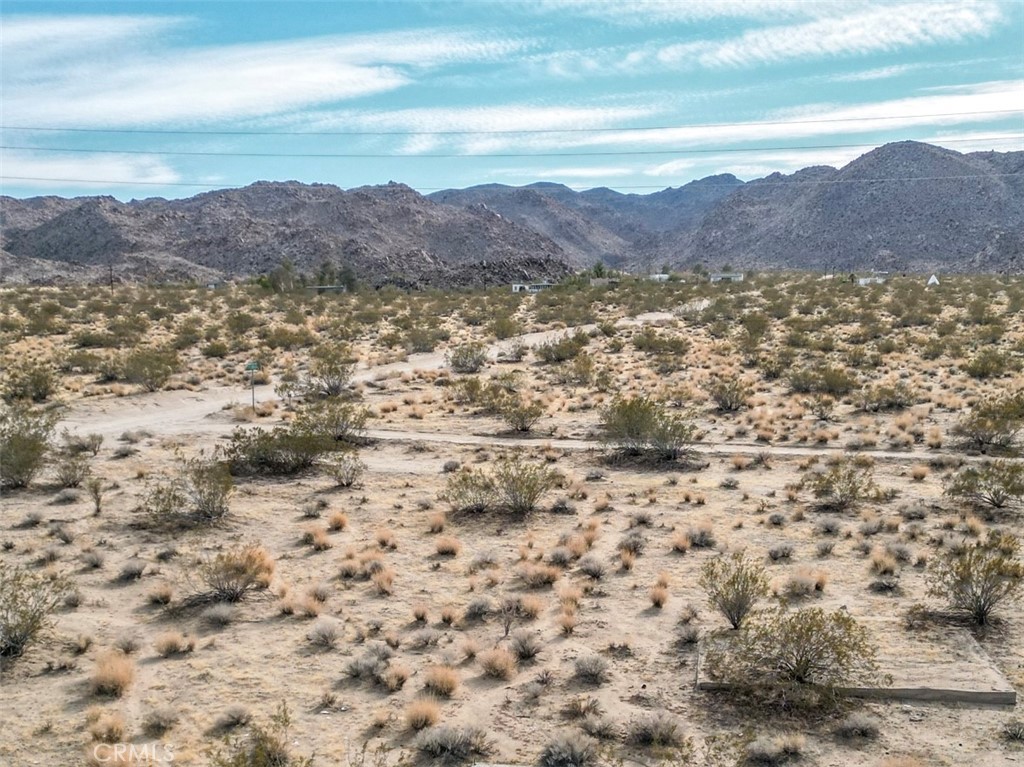 0 Copper Mountain Road Joshua Tree, CA 92252 - Photo 20 of 21