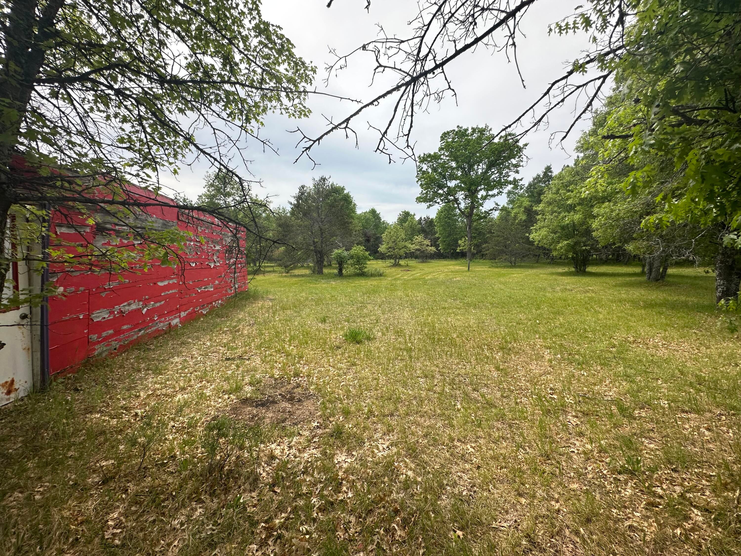 323 Goline Road Grayling, MI 49738 - Photo 16 of 24 Gallery Image 16