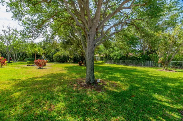a garden view with a fountain