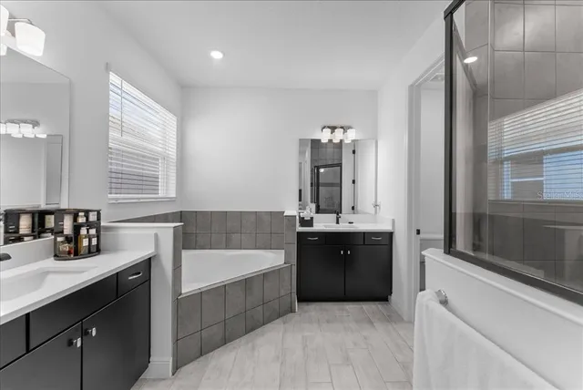 a bathroom with a bathtub sink and mirror
