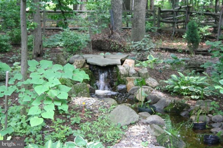 2440 Brussels Court Reston, VA 20191 - Photo 15 of 16 Beautiful pond with sounds of nature