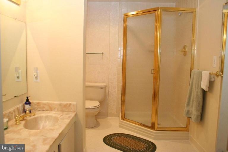 2440 Brussels Court Reston, VA 20191 - Photo 10 of 16 Master Bath #2