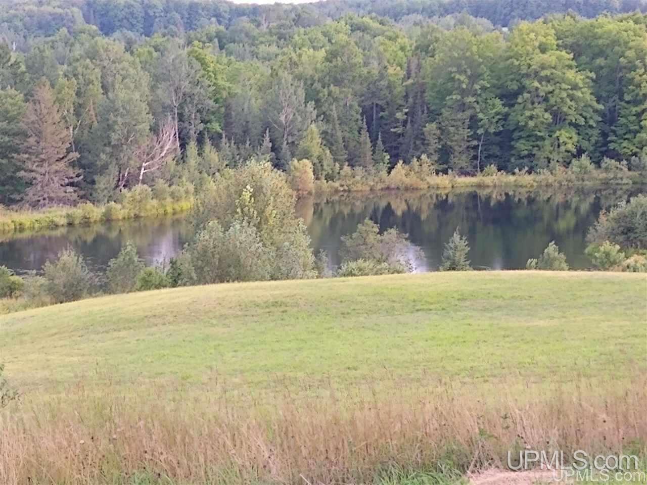 Tbd Section 6 Road Crystal Falls, MI 49920 - Photo 1 of 8 Gallery Image 1